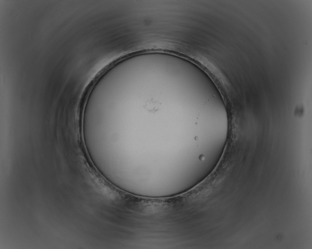 X0000093600886200710221545