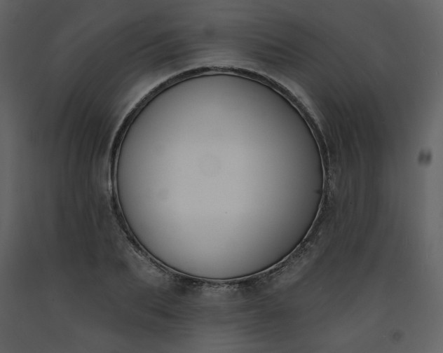 X0000093600887200710221545