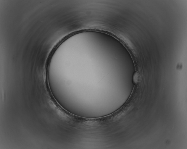 X0000093600888200710221545