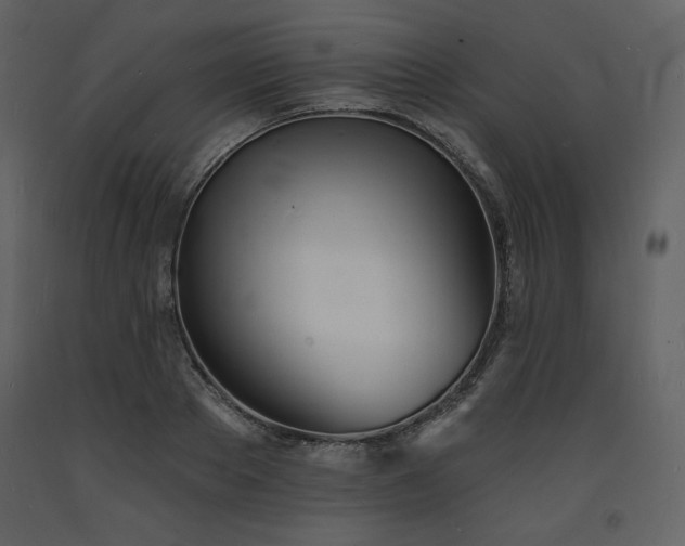 X0000093600889200710221545