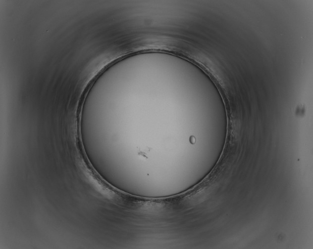 X0000093600890200710221545