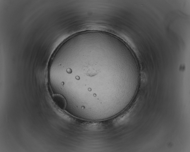 X0000093600891200710221545