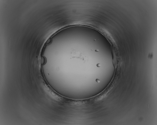 X0000093600892200710221545