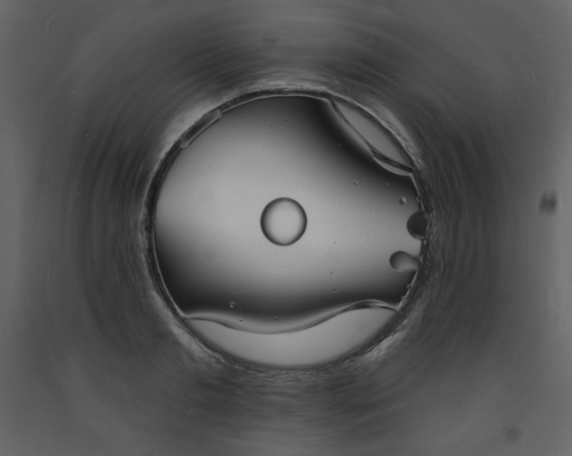 X0000093600893200710221545