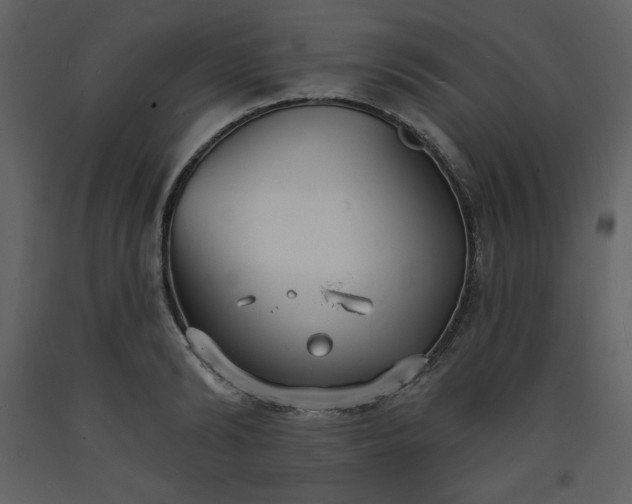 X0000093600894200710221545