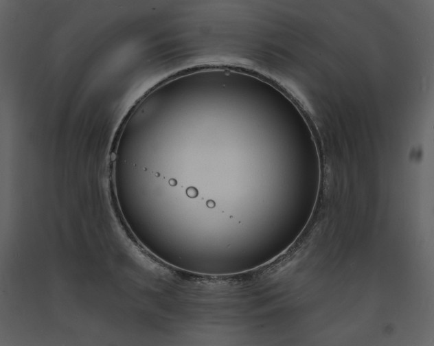 X0000093600895200710221545