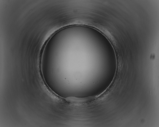 X0000093600896200710221545