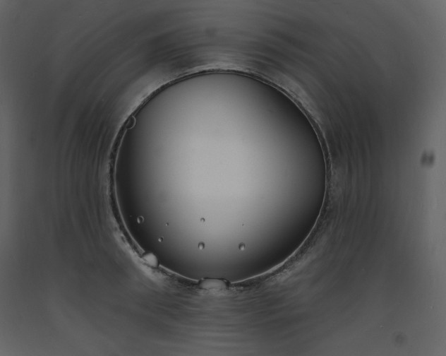 X0000093600898200710221545