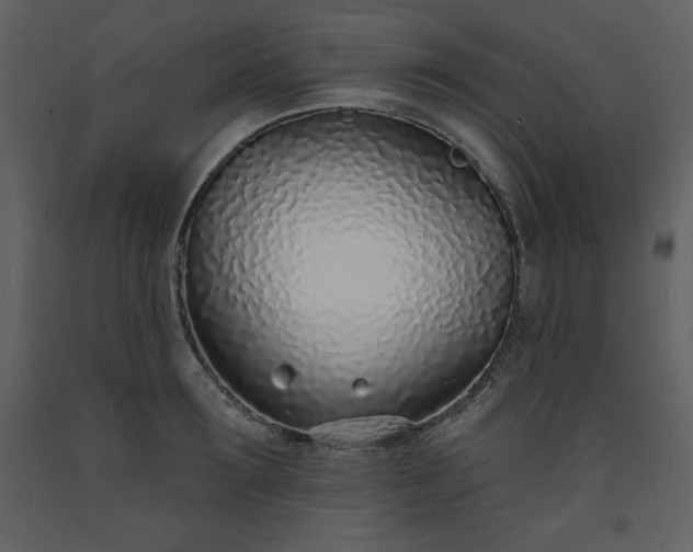 X0000093600899200710221545