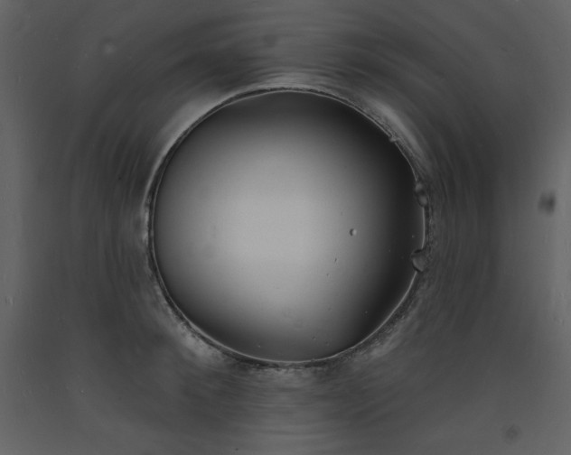 X0000093600900200710221545