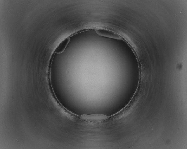 X0000093600901200710221545