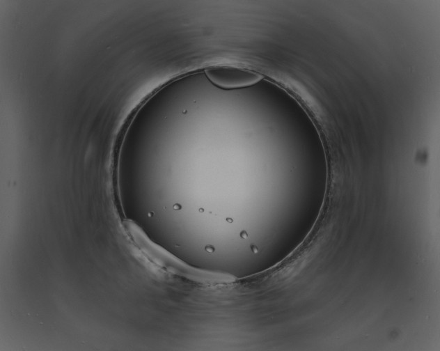 X0000093600902200710221545