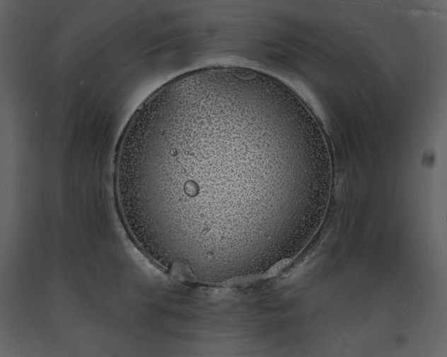 X0000093600903200710221545