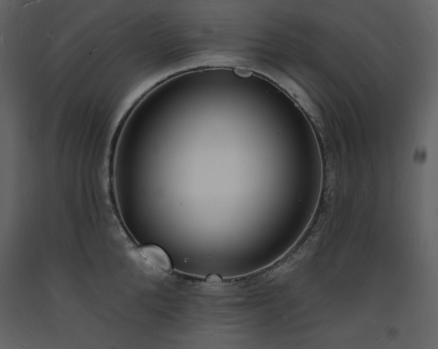 X0000093600904200710221545