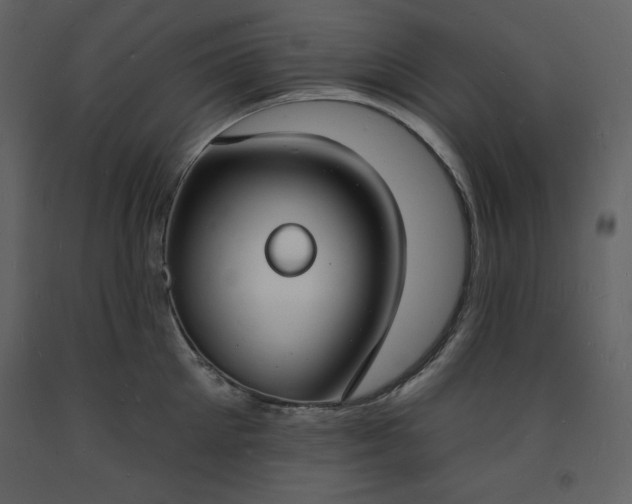 X0000093600905200710221545