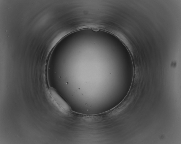 X0000093600906200710221545