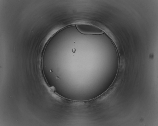 X0000093600909200710221545