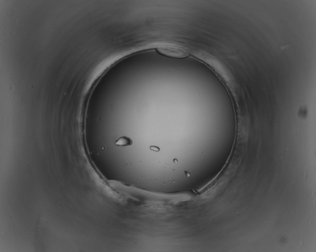 X0000093600910200710221545