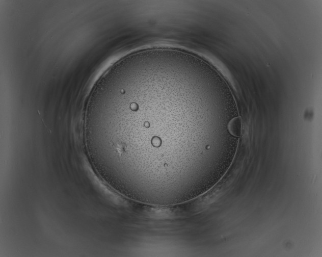 X0000093600911200710221545