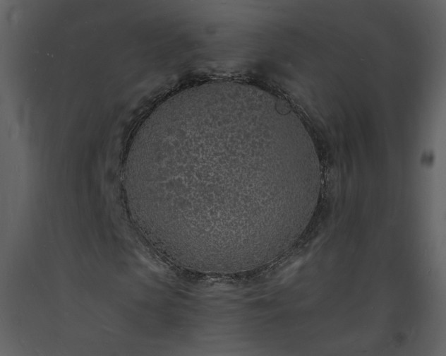 X0000093600913200710221544