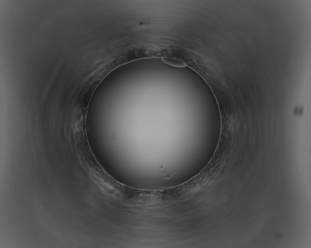 X0000093600914200710221544