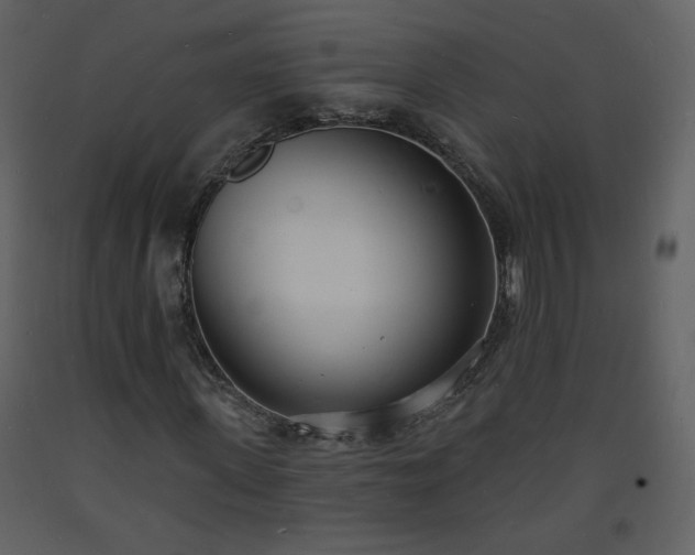 X0000093600915200710221544