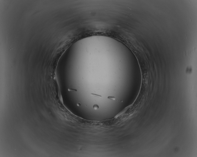 X0000093600916200710221544