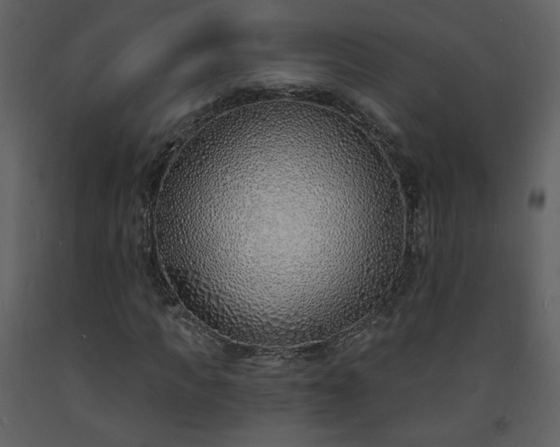 X0000093600917200710221544