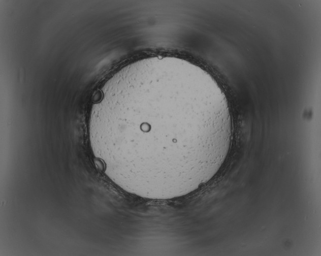 X0000093600918200710221544