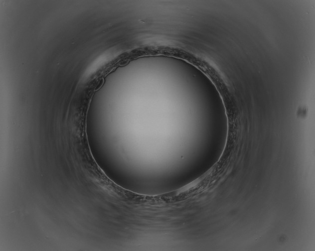 X0000093600919200710221544