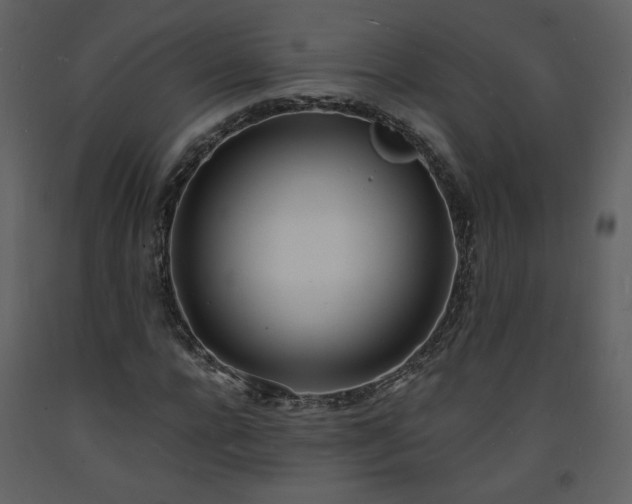 X0000093600920200710221544