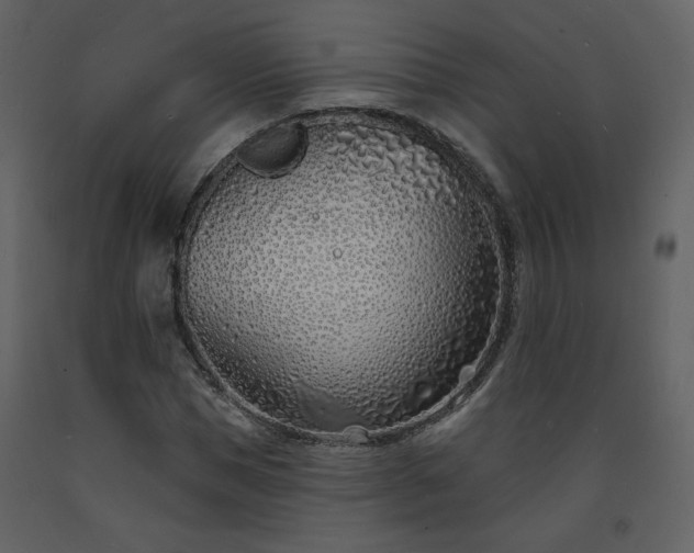 X0000093600921200710221544