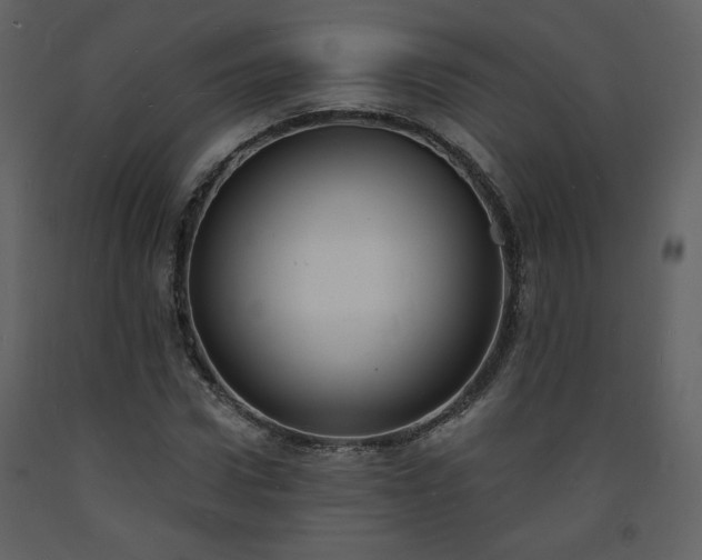 X0000093600922200710221544