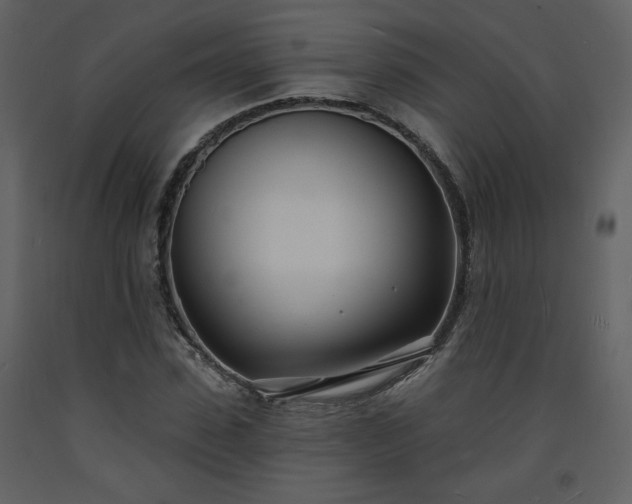 X0000093600923200710221544