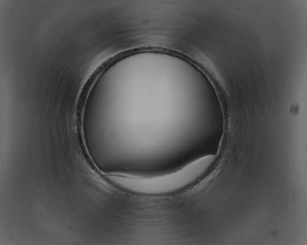 X0000093600924200710221544