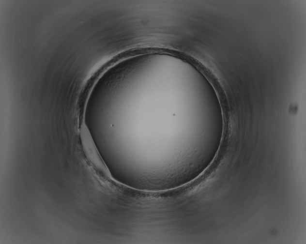 X0000093600925200710221544