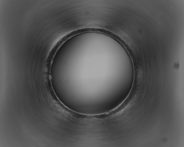 X0000093600926200710221544