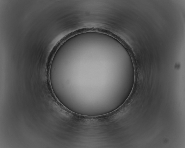 X0000093600927200710221544