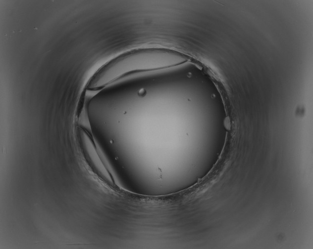 X0000093600928200710221544