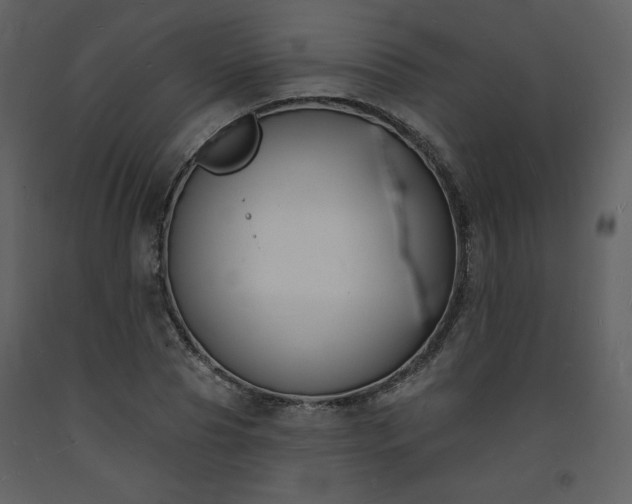 X0000093600929200710221544