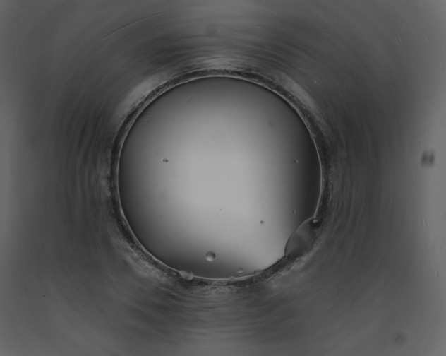 X0000093600930200710221544