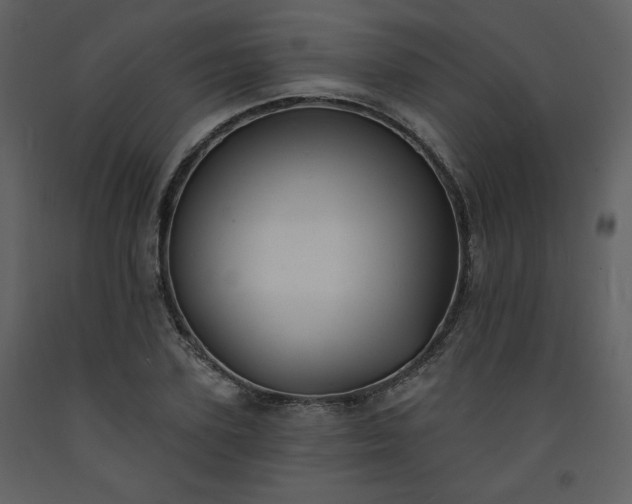 X0000093600931200710221544