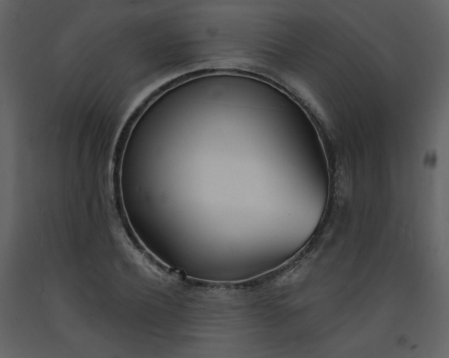 X0000093600932200710221544