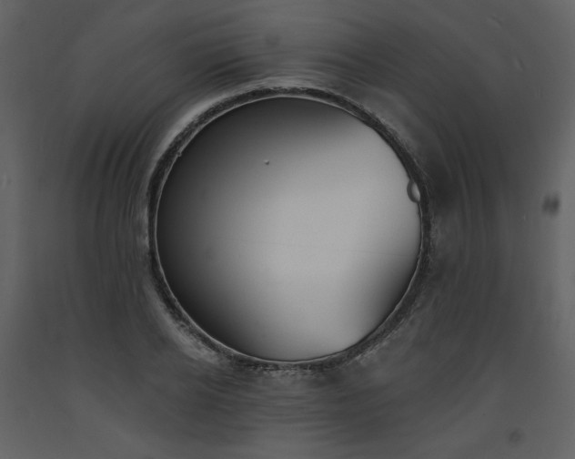 X0000093600934200710221544