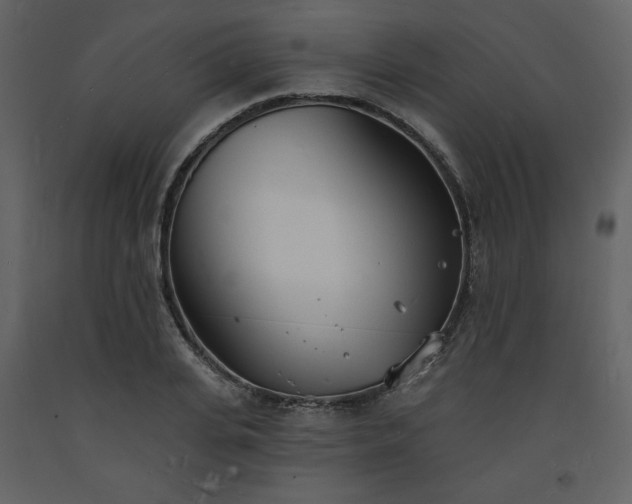 X0000093600935200710221544