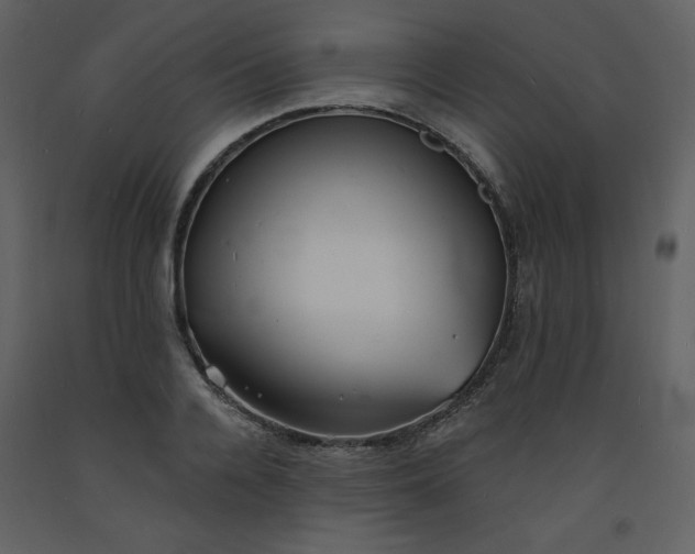 X0000093600936200710221544