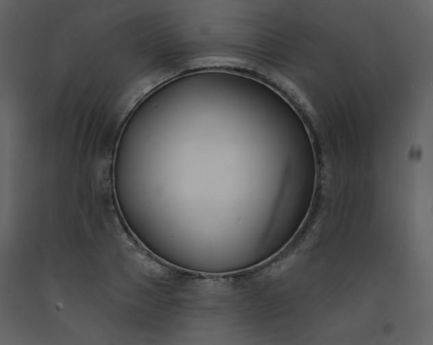 X0000093600937200710221544