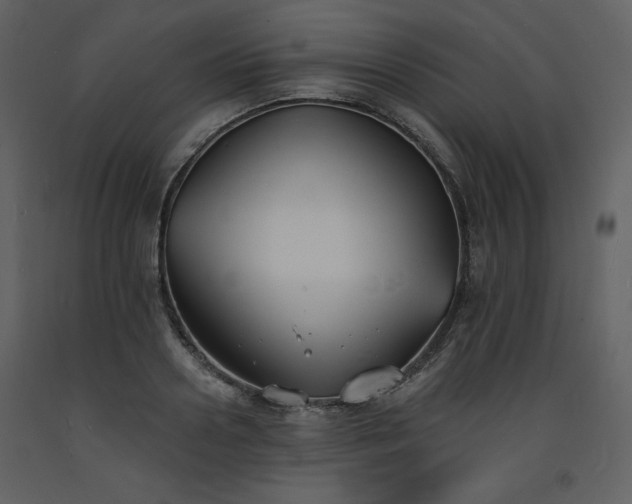 X0000093600938200710221544