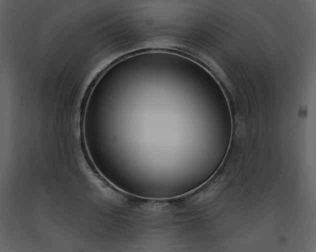 X0000093600939200710221544