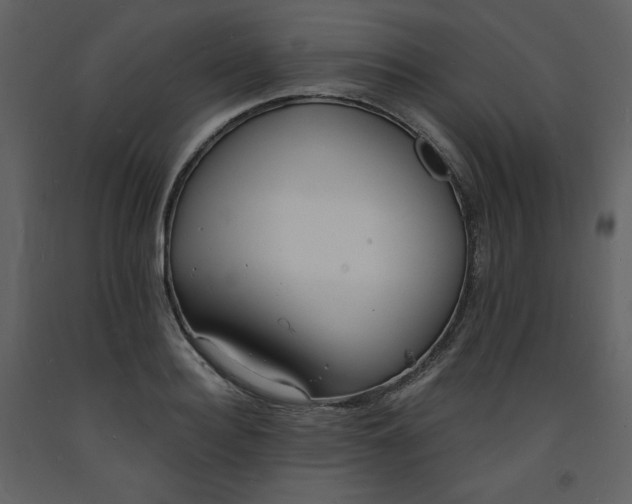 X0000093600940200710221544